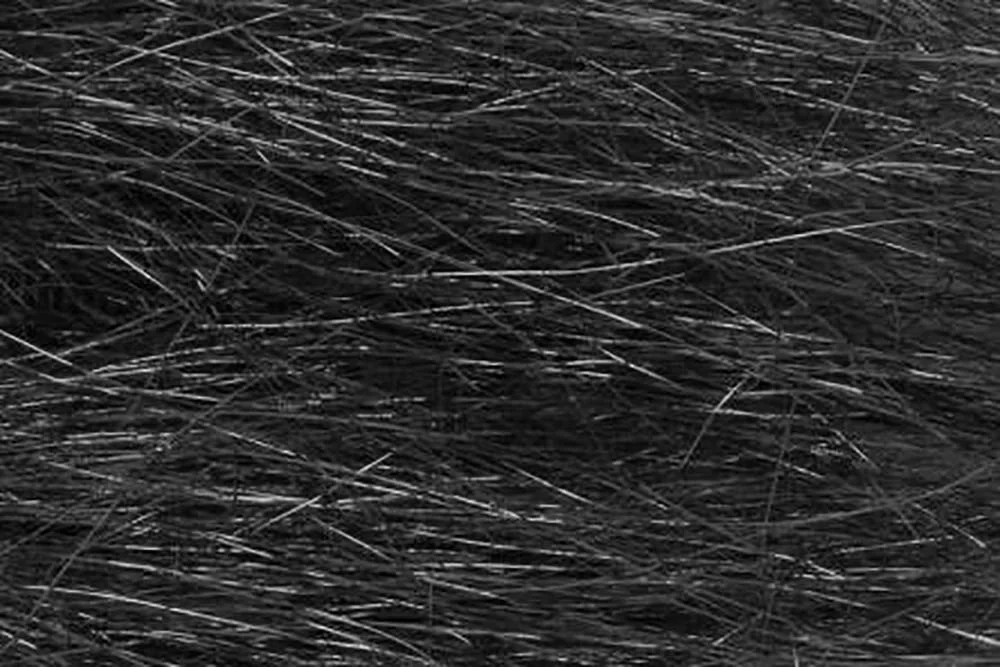 2026_07_24_700533