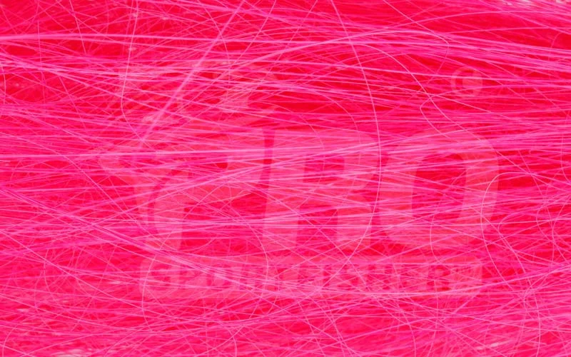 2026_07_24_700714