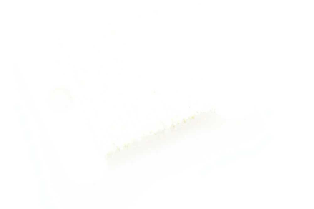 2026_07_24_701935