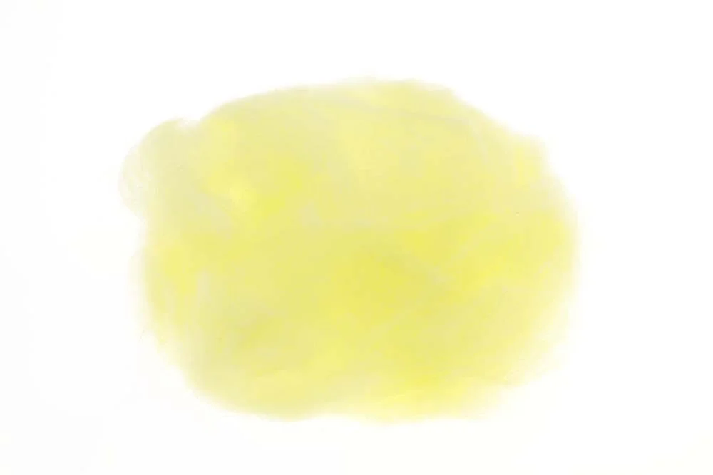 2026_07_24_702631