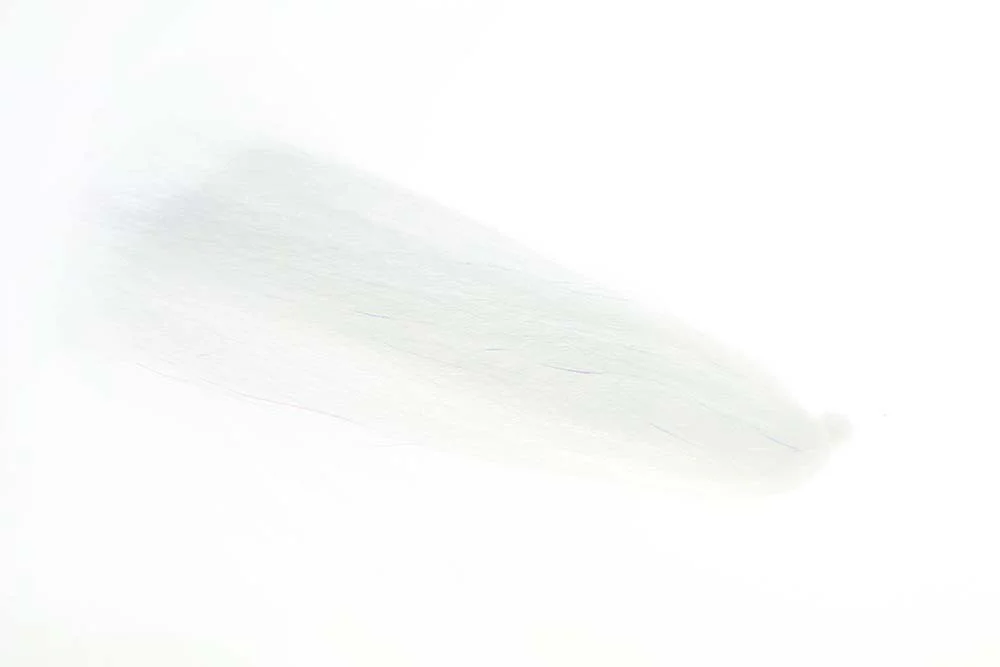 2026_07_24_704634