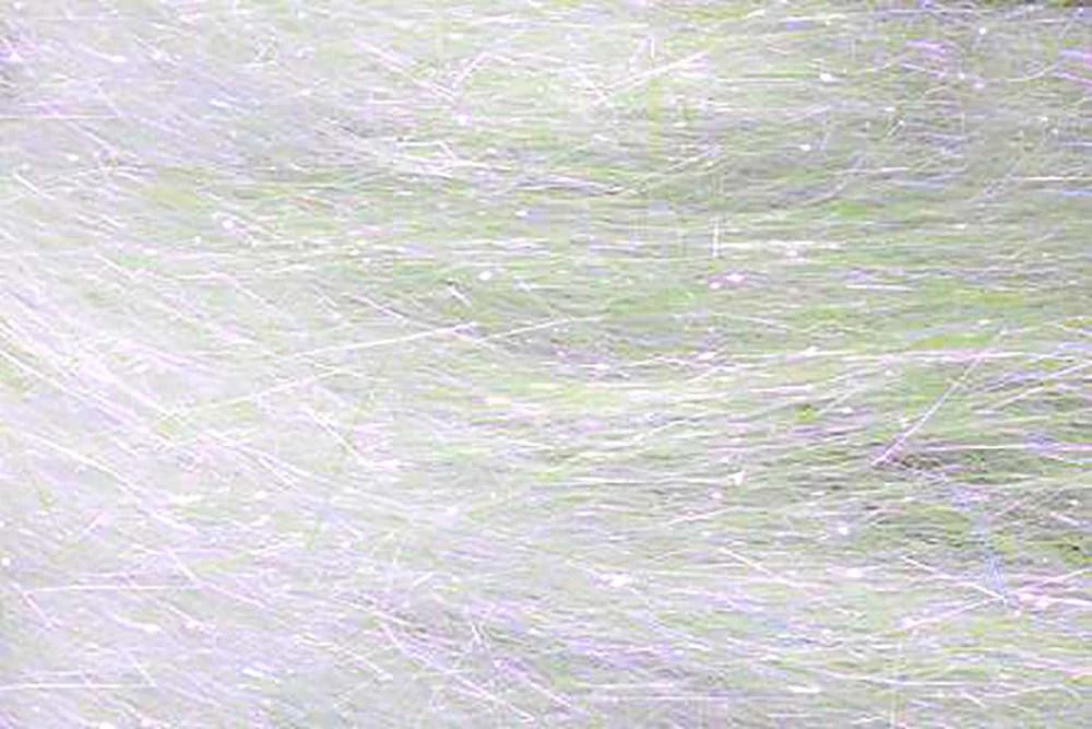 2026_07_24_704846
