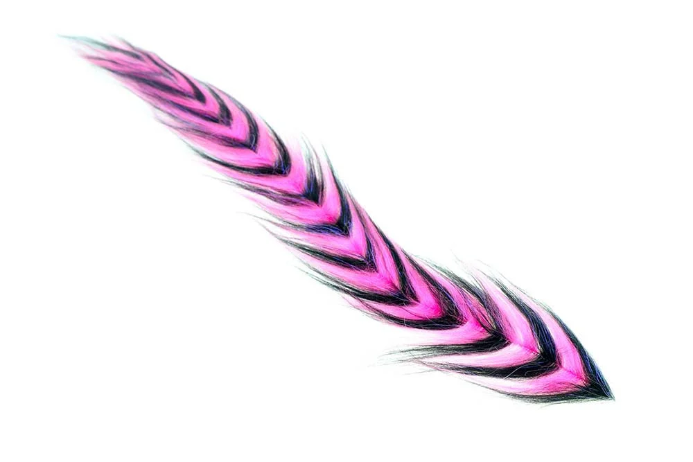 2026_07_24_714705