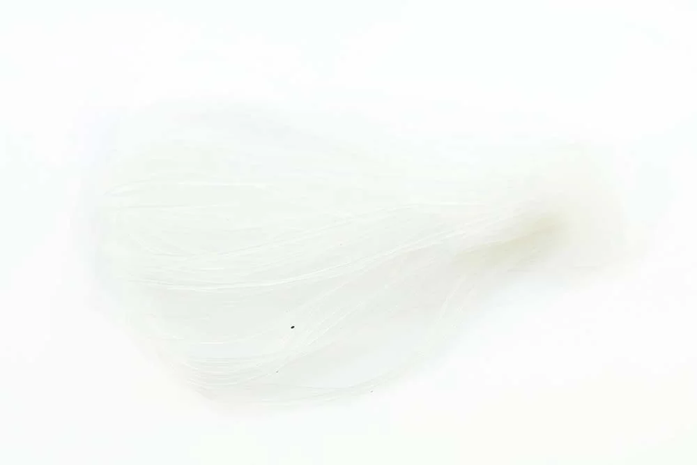 2026_07_24_717600