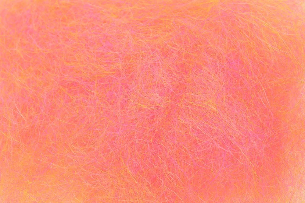 2026_07_24_718308
