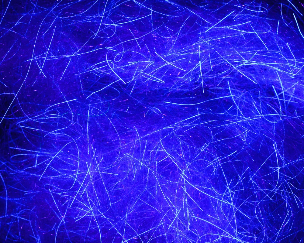 2026_07_24_719295