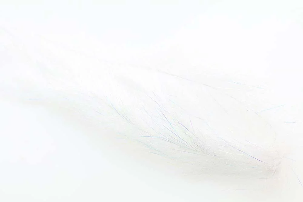 2026_07_24_720085