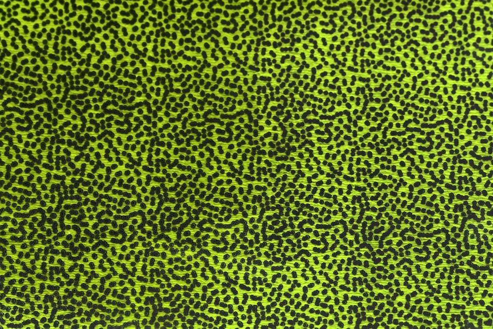 2026_07_24_721577