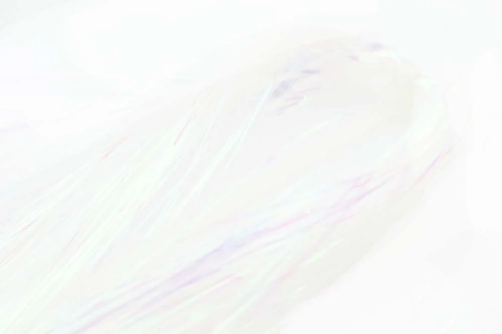 2026_07_24_723007