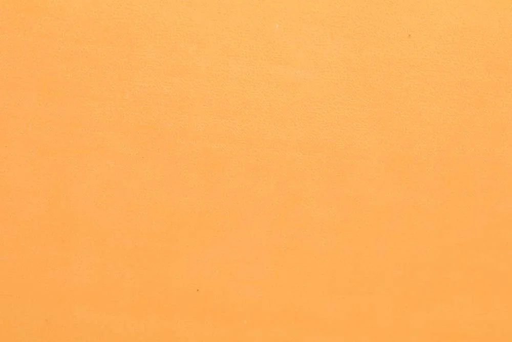 2026_07_24_726910
