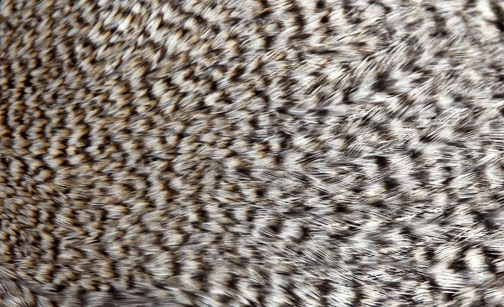 2026_07_24_731707