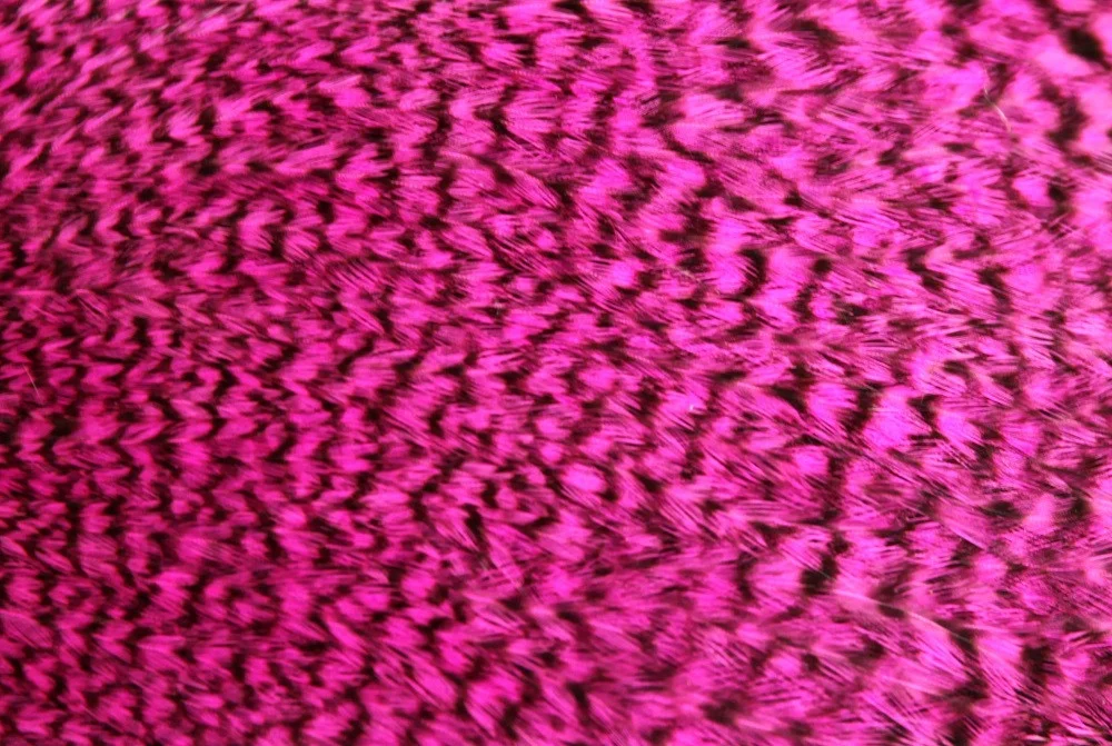 2026_07_24_731721