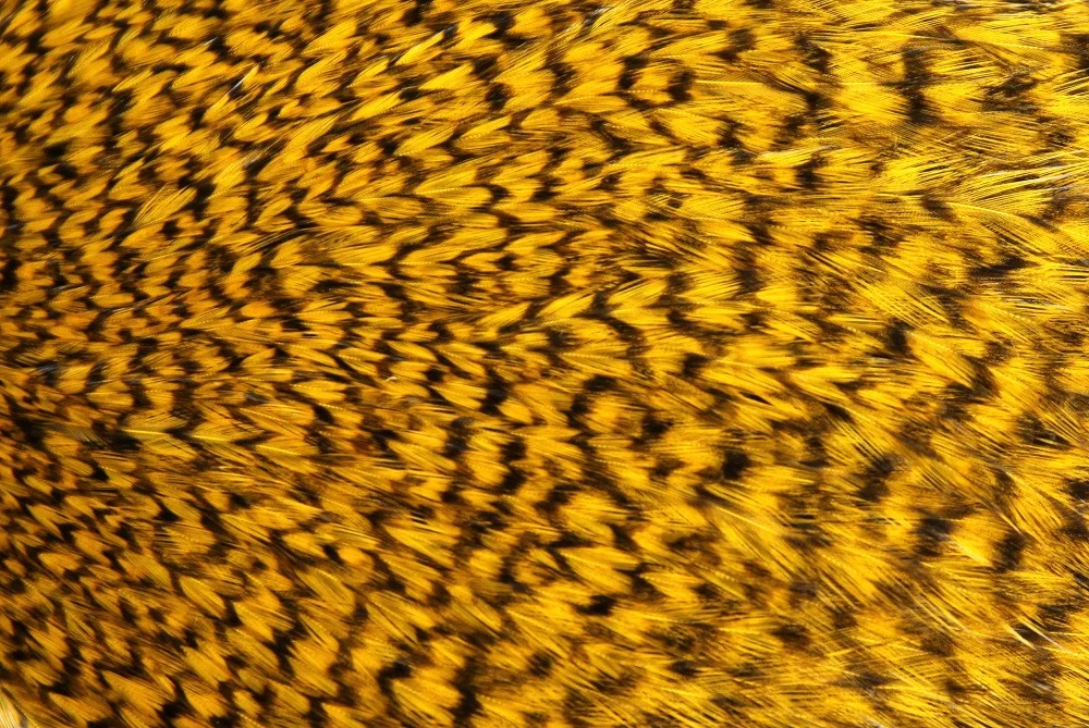 2026_07_24_731723