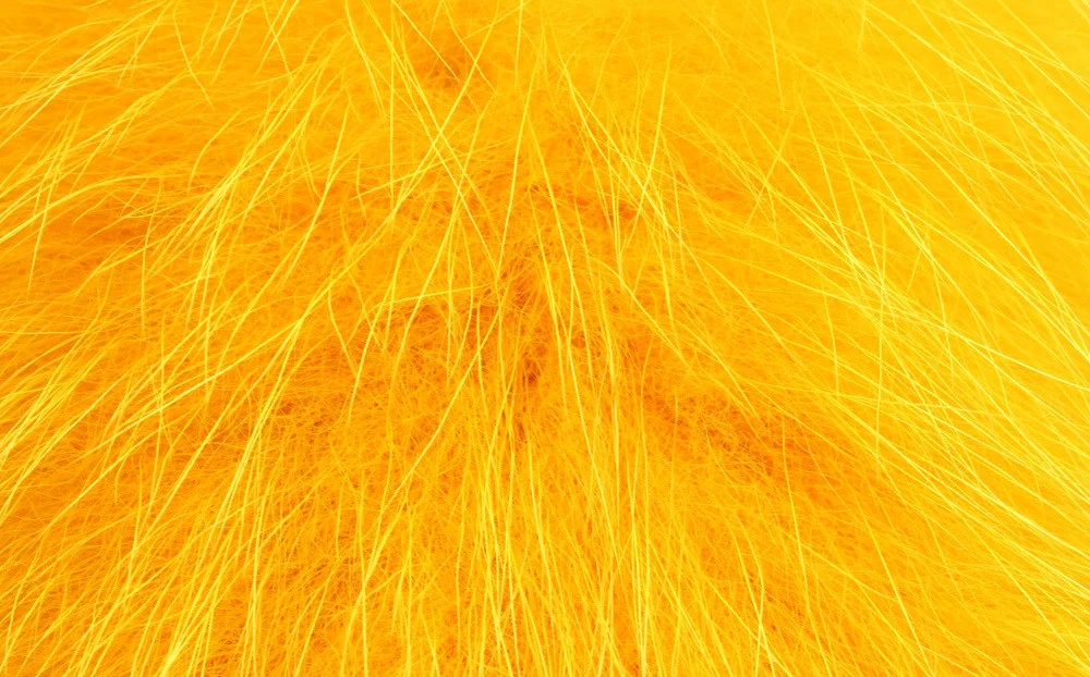2026_07_24_734678