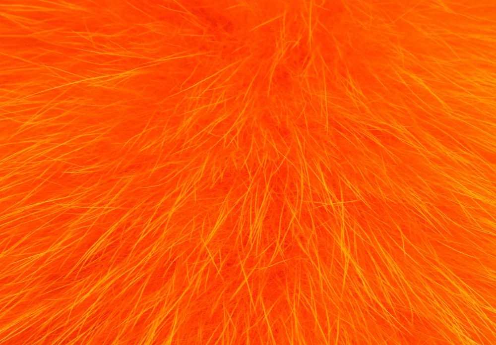 2026_07_24_734717
